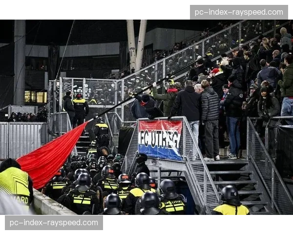 球迷冲入场内庆祝保级成功，安保人员迅速控制局面